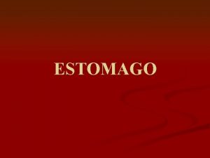 Configuracion interna del estomago