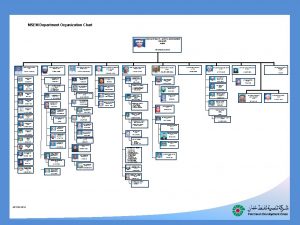 MSEM Department Organization Chart CORPORATE HEALTH SAFETY ENVIRONMENT