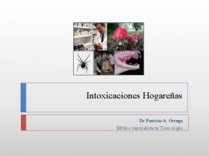 Intoxicaciones Hogareas Dr Patricio A Ortega Mdico especialista