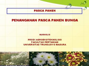 PASCA PANEN PENANGANAN PASCA PANEN BUNGA NURHOLIS PRODI