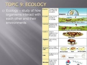 TOPIC 9 ECOLOGY Ecology study of how organisms