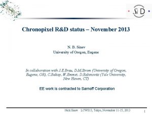 Chronopixel RD status November 2013 N B Sinev