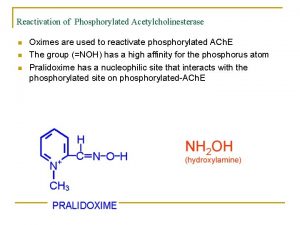 Reactivation of Phosphorylated Acetylcholinesterase n n n Oximes