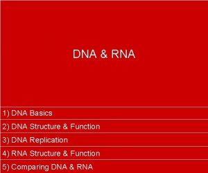 DNA RNA 1 DNA Basics 2 DNA Structure