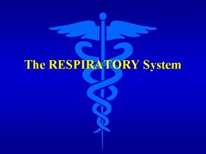 The RESPIRATORY System Functions of the Respiratory System