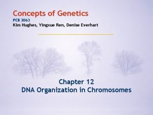 Concepts of Genetics PCB 3063 Kim Hughes Yingxue