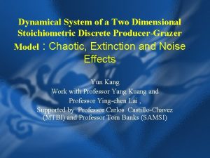Dynamical System of a Two Dimensional Stoichiometric Discrete