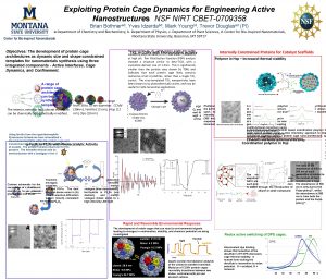 Exploiting Protein Cage Dynamics for Engineering Active Nanostructures