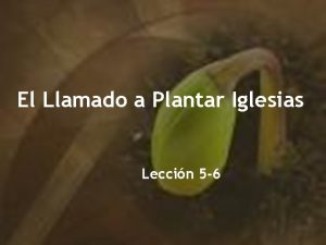 El Llamado a Plantar Iglesias Leccin 5 6