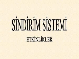 ETKNLK1 SNDRM SSTEMN OLUTURAN ORGANLARI TANIYALIM 2 YUTAK