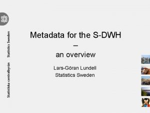 Metadata for the SDWH an overview LarsGran Lundell