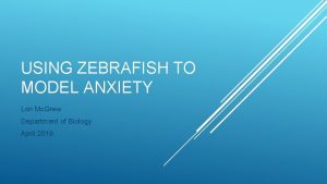 USING ZEBRAFISH TO MODEL ANXIETY Lori Mc Grew