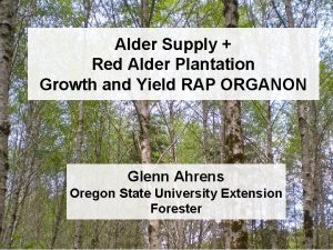 Alder Supply Red Alder Plantation Growth and Yield