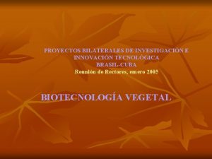 PROYECTOS BILATERALES DE INVESTIGACIN E INNOVACIN TECNOLGICA BRASILCUBA