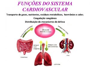 FUNES DO SISTEMA CARDIOVASCULAR Transporte de gases nutrientes