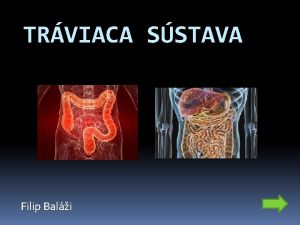 TRVIACA SSTAVA Filip Bali Menu vod Stavba stna