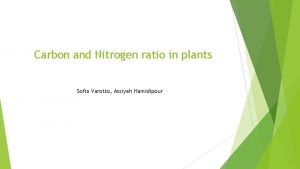Carbon and Nitrogen ratio in plants Sofia Varotto