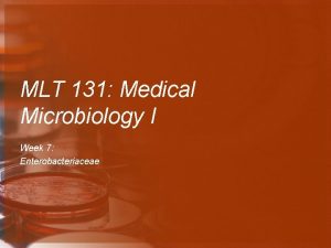 MLT 131 Medical Microbiology I Week 7 Enterobacteriaceae