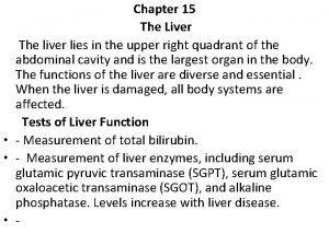 Chapter 15 The Liver The liver lies in