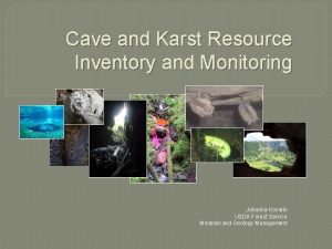 Cave and Karst Resource Inventory and Monitoring Johanna