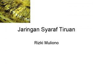 Jaringan Syaraf Tiruan Rizki Muliono Biological Inspiration Animals