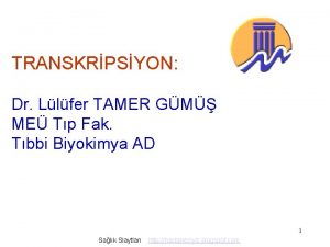 TRANSKRPSYON Dr Llfer TAMER GM ME Tp Fak