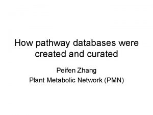 How pathway databases were created and curated Peifen