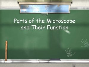 Parts of the Microscope and Their Function Rules