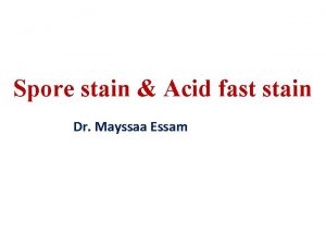 Spore stain Acid fast stain Dr Mayssaa Essam