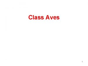 Class Aves 1 Class Aves Feathers No teeth