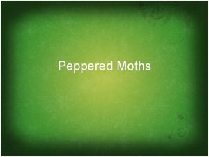 Peppered Moths Peppered Moths Key Question Explain how