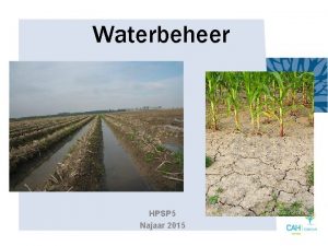 Waterbeheer HPSP 5 Najaar 2015 Watervoorziening en gewasproductie