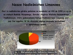 Nasze Nadlenictwo Limanowa Jest to nadlenictwo grskie pooone