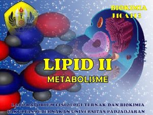 q DEGRADASI LIPID OKSIDASI ASAM LEMAK q BIOSINTESIS