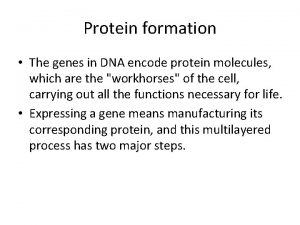 Protein formation The genes in DNA encode protein