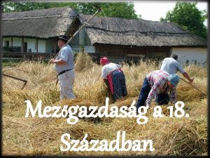 Mezgazdasg a 18 Szzadban Fejezetek v I A