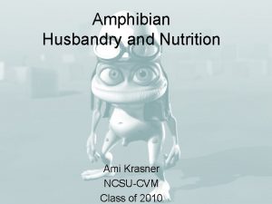 Amphibian Husbandry and Nutrition Ami Krasner NCSUCVM Class