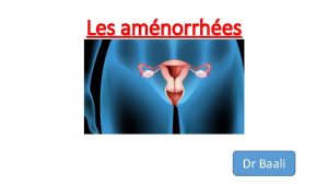 Les amnorrhes Dr Baali Les amnorrhes primaires Dfinition