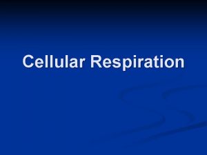 Cellular Respiration Cellular Respiration AKA Respiration The metabolic