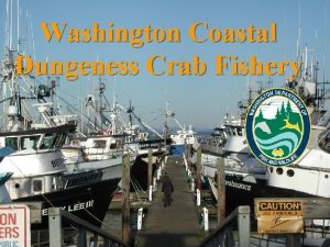 Washington Coastal Dungeness Crab Fishery Washington Catch Areas
