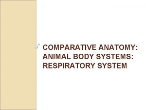 COMPARATIVE ANATOMY ANIMAL BODY SYSTEMS RESPIRATORY SYSTEM Respiratory