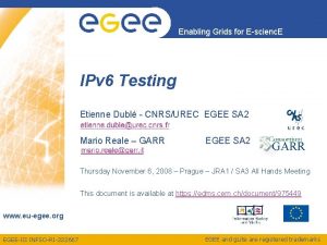 Enabling Grids for Escienc E IPv 6 Testing