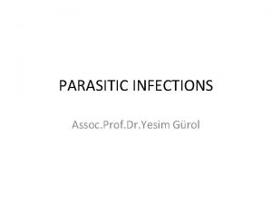 PARASITIC INFECTIONS Assoc Prof Dr Yesim Grol Five