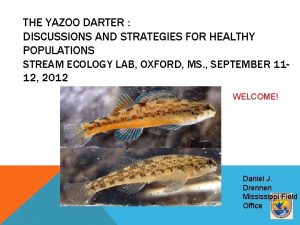 THE YAZOO DARTER DISCUSSIONS AND STRATEGIES FOR HEALTHY