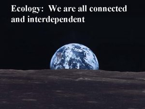 Ecology We are all connected and interdependent Species