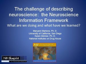 The challenge of describing neuroscience the Neuroscience Information