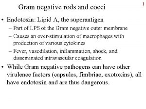 Gram negative rods and cocci Endotoxin Lipid A