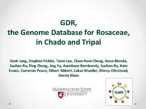 GDR the Genome Database for Rosaceae in Chado
