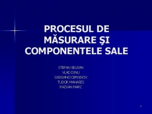 PROCESUL DE MSURARE I COMPONENTELE SALE STEFAN SEUSAN