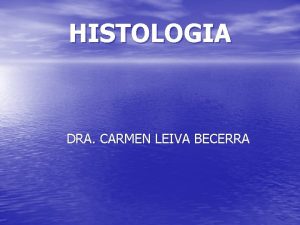 HISTOLOGIA DRA CARMEN LEIVA BECERRA SISTEMA NERVIOSO NEURONA